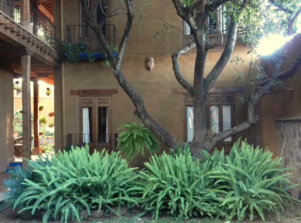 Posada Yolihuani Pátzcuaro Exteriör bild